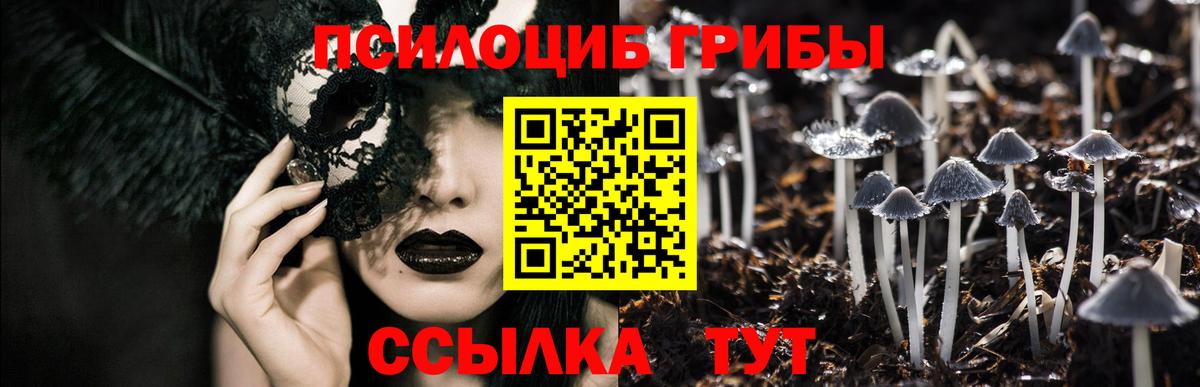 Качканар  Псилоцибиновые грибы прущие грибы  где можно купить   Вход с VPN 