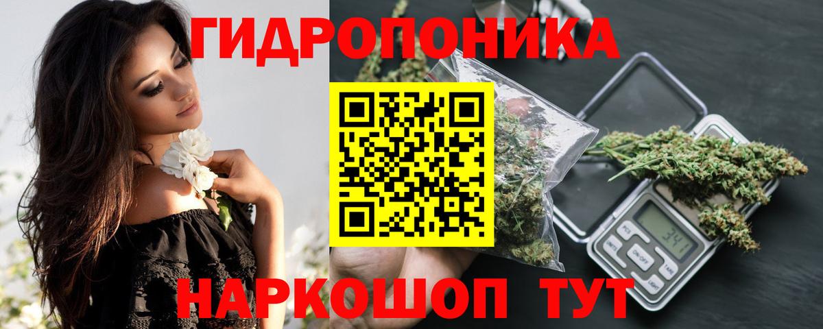 Шишки марихуана семена  Конопля VHQ  Качканар  Шишки марихуана Amnesia  Вход с VPN 